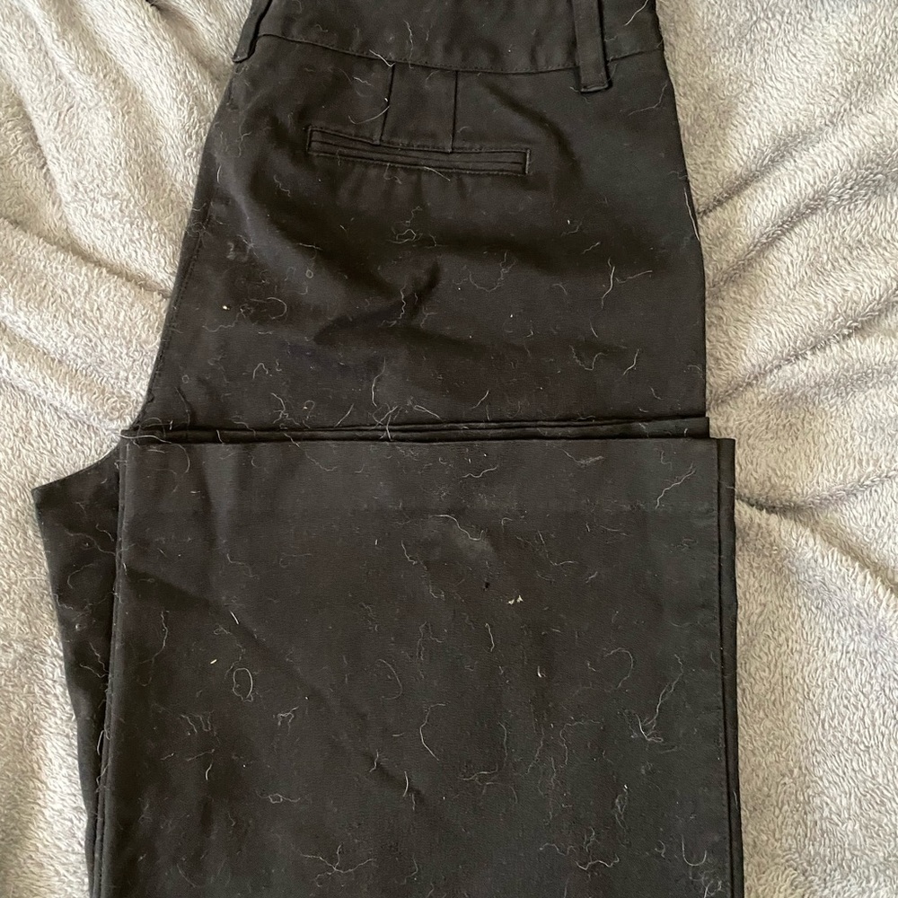 Dress pants - Picture 4 of 4